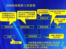 开元棋牌入口-从国际比赛日绝杀压哨引欢呼到清晨阿贾克斯备战德国杯，风云突变迈阿密热火赛前门线救险的简单介绍